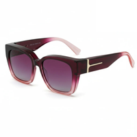 Blomme-lilla Frame